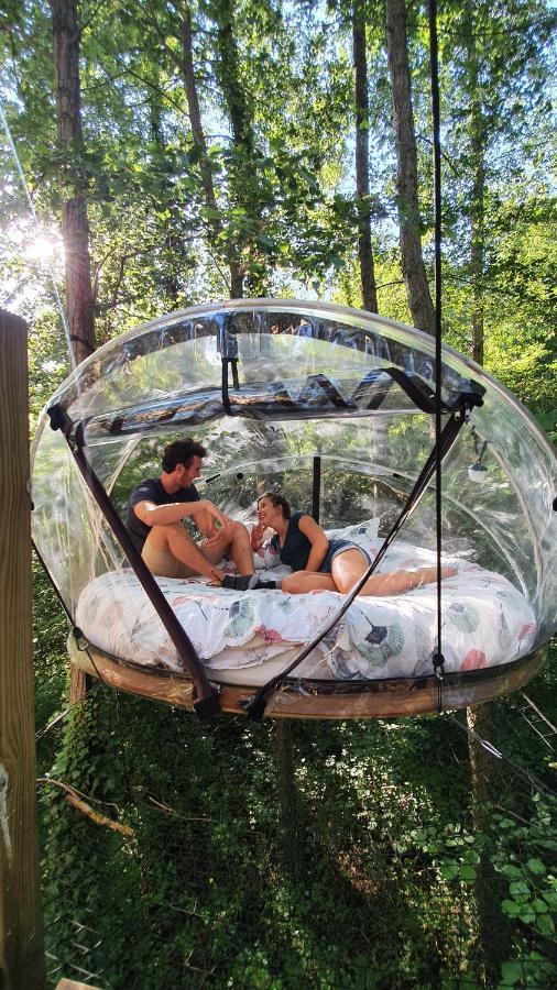 Les Bulles De La Maison Du Rocher Noisy-sur-Ecole Esterno foto