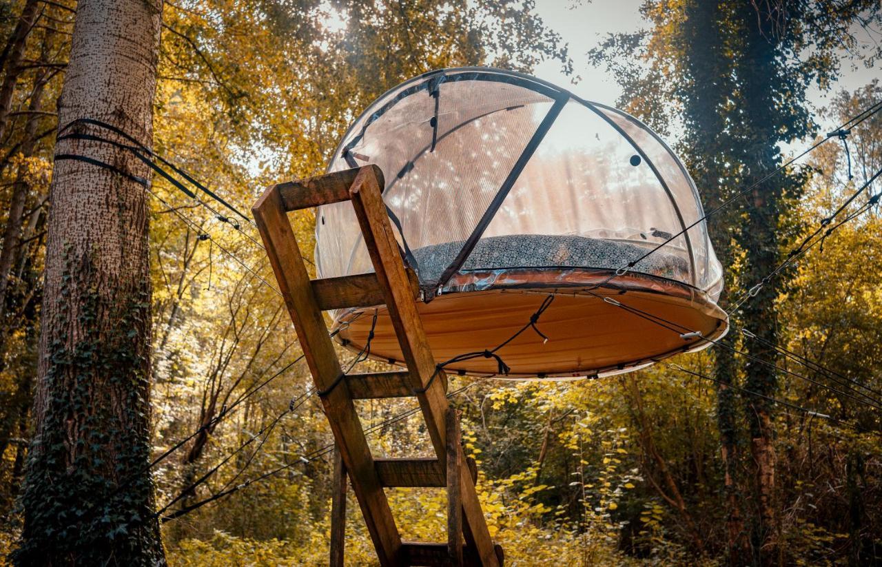 Les Bulles De La Maison Du Rocher Noisy-sur-Ecole Esterno foto